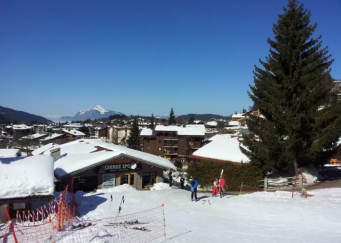 Hotel Chalet Les Airelles Les Carroz d'Arâches