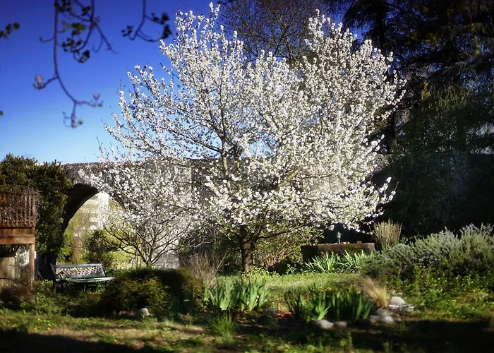 La Maison du Pont Vieux Cazilhac 